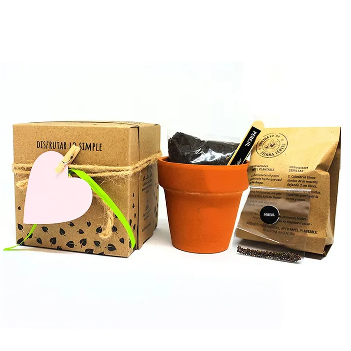 Maceta de Barro con Caja — imagen principal