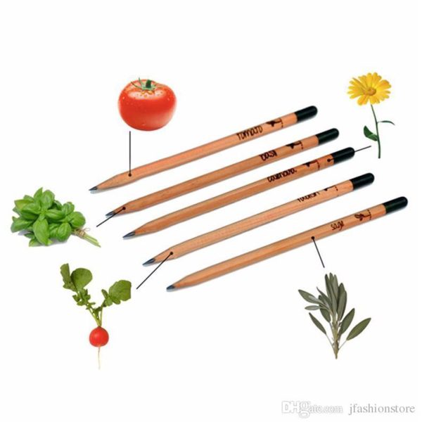 Lápiz Eco Plantable con semillas - Imagen 4